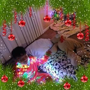 Meet your Posher, Bella